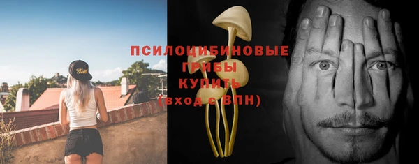 хмурый Нефтекумск