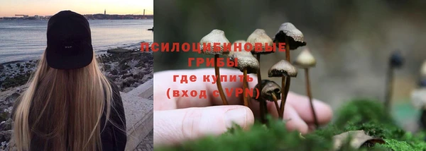 альфа пвп Нея