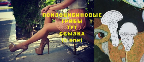 кокс Абаза